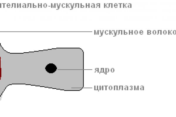 Кракен вход на сайт